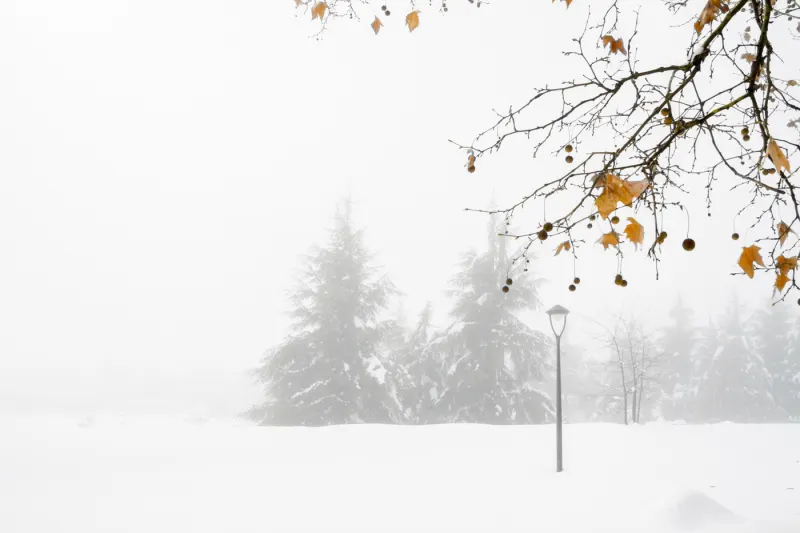 A Ifrane