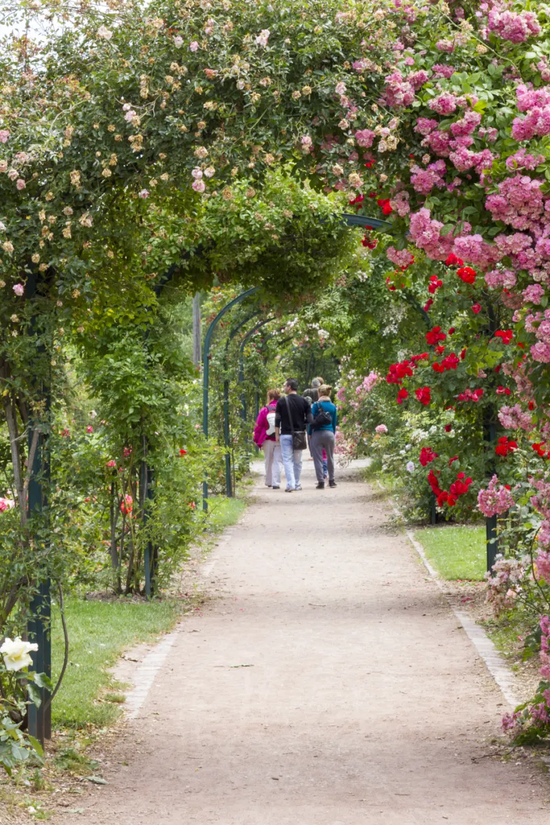 Jardin des plantes
