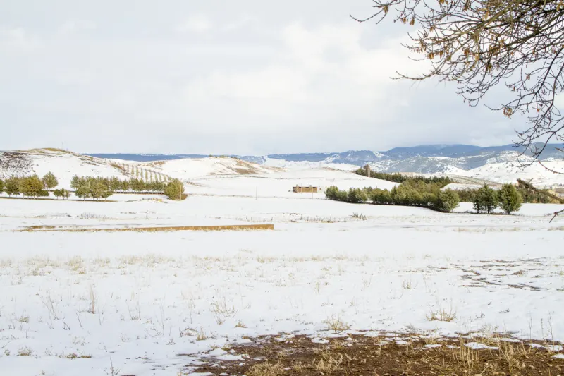 Paysage de neige