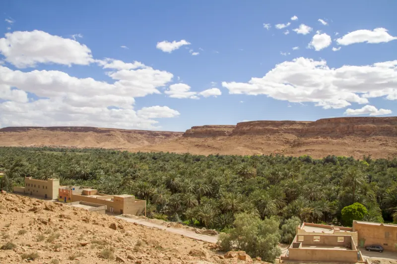 Palmeraies de Tafilalet