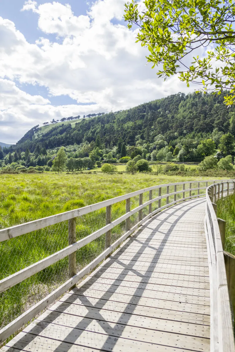 Wicklow