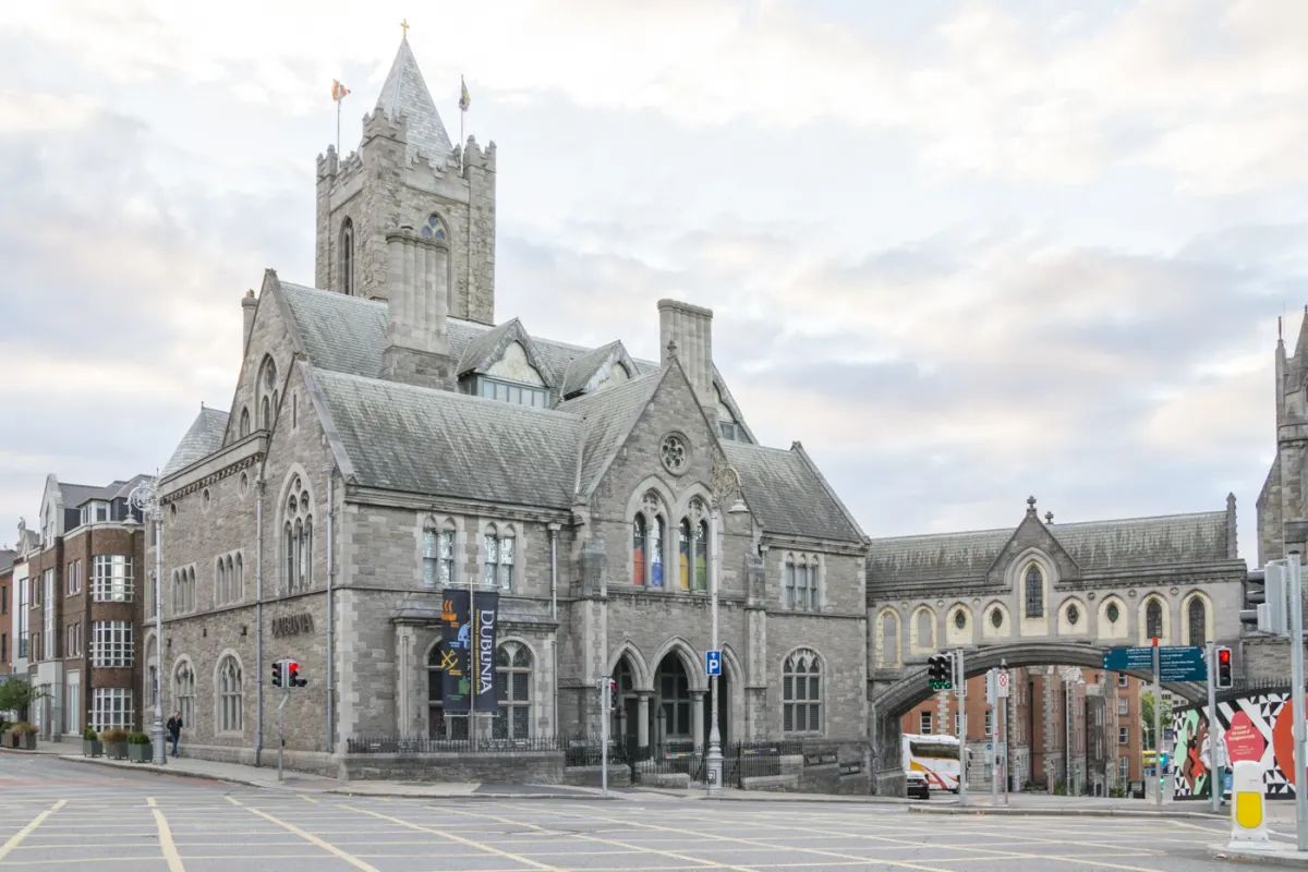 Dublinia