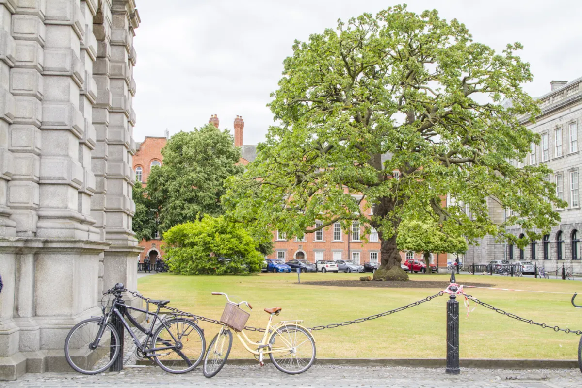 Trinity College
