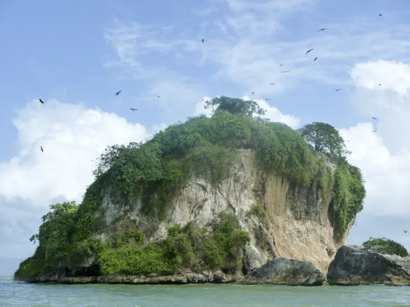 L'île aux oiseaux aux Haitises
