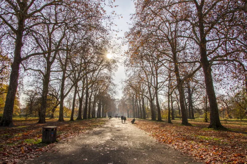 Hyde Park