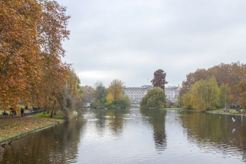 Buckingham Palace depuis Saint James Park