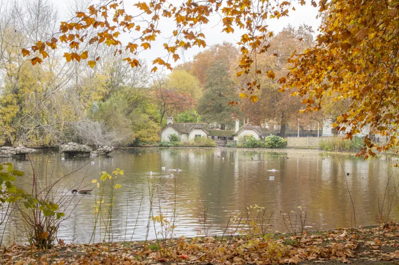 Saint James Park
