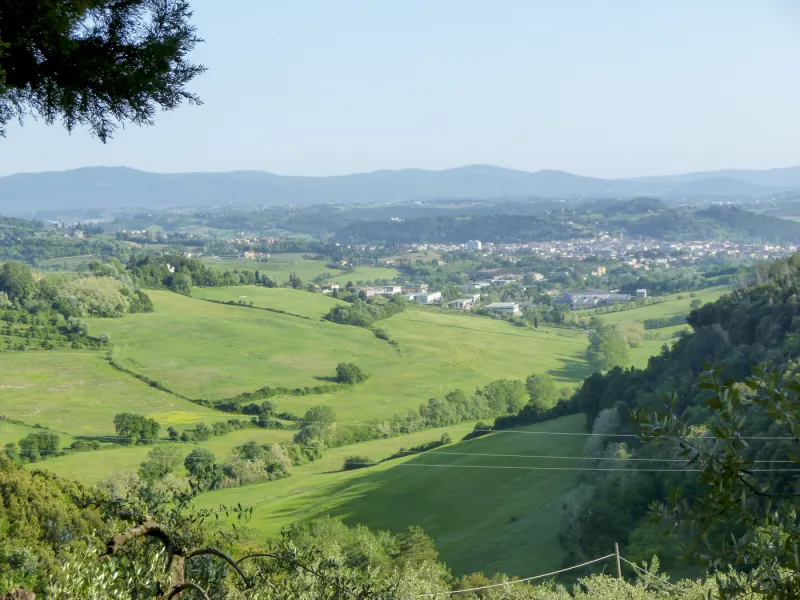 Chianti