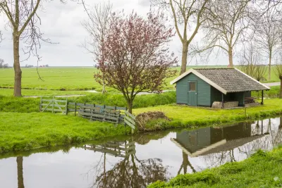 Edam