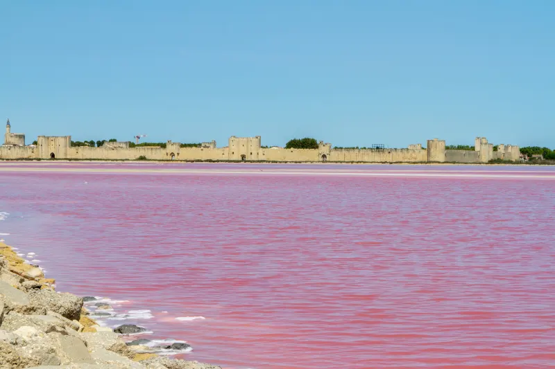 Salins d'Aigues-Morte