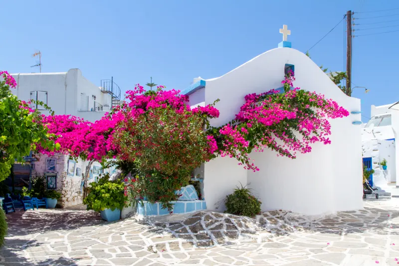 Une semaine à Paros, la perle des Cyclades