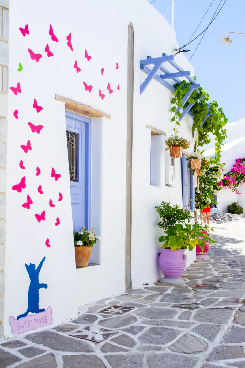 Prodromos