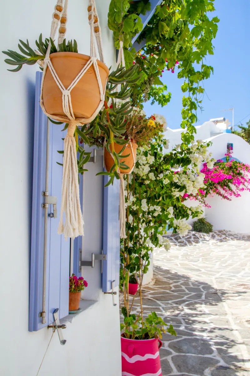 Prodromos