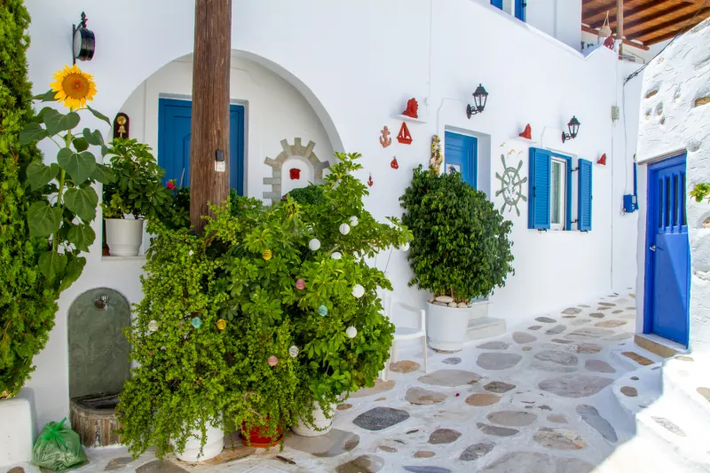Prodromos
