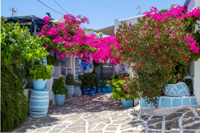 Une semaine à Paros, la perle des Cyclades