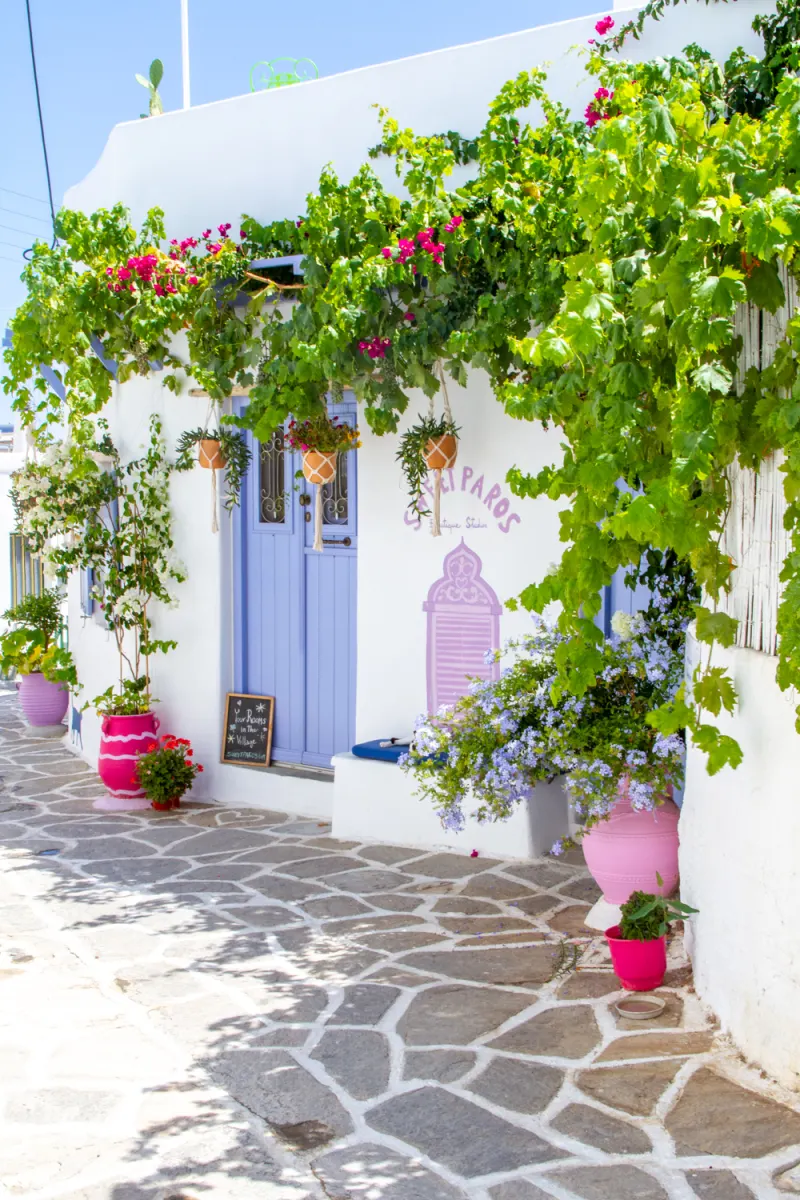 Prodromos