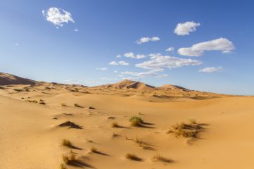 Dunes de sable de Merzouga
