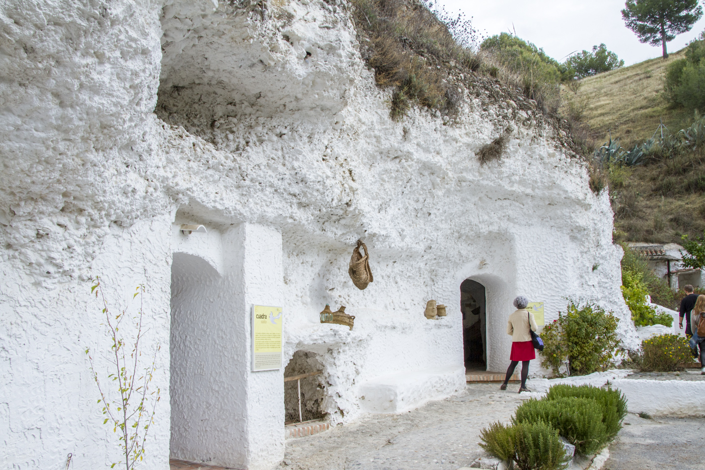 Cuevas du musée du Sacromonte